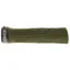 Ergon GE1 Evo Grips in Green