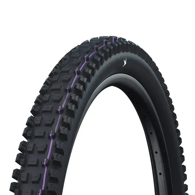 Schwalbe Albert Gravity Pro Radial Ultra Soft MTB Tyre In (fold) BLACK 29 x 2